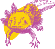 Unusual Pet Vets web illustration icon, purple and yellow: Amphibians