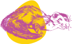 Unusual Pet Vets web illustration icon, purple and yellow: Ferrets