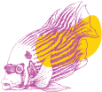 Unusual Pet Vets web illustration icon, purple and yellow: Fish