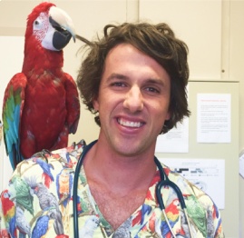 Dr James Haberfield from Unusual Pet Vets with a red parrot
